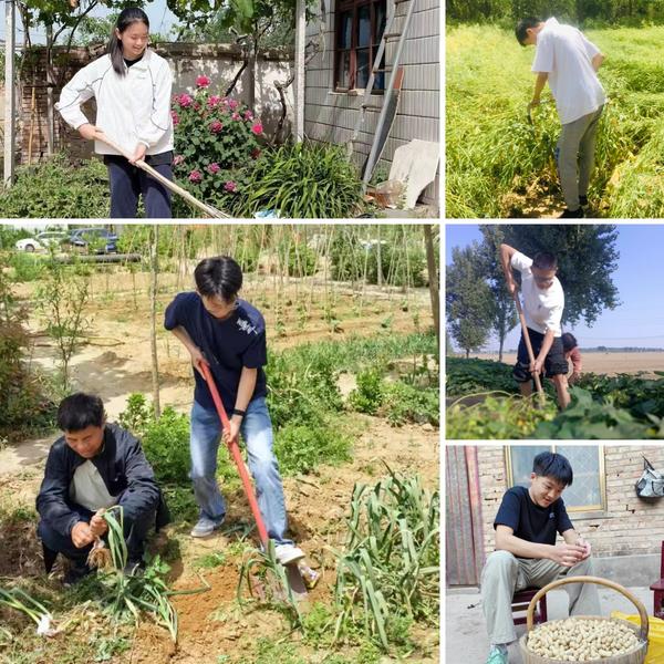 6.农业生产与劳动 6.农业生产与劳动